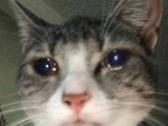 100번째 포스트...