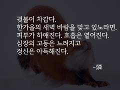 린네_燐