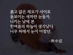 니키린_熱中症