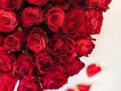 [해은] 로즈데이