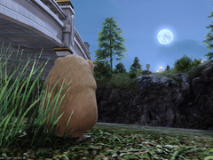 [The Creature form the Wooden Crate] [미지의 생물을 꿈꾸며]