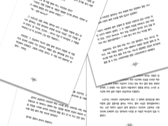 I REALLY LIKE YOU 外傳