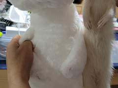 기유아게하 역이님(@wnioo512) 글커미션