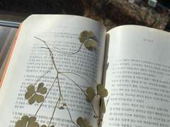 #행복하게사는법