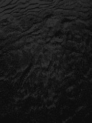 몽마카와 신부이와