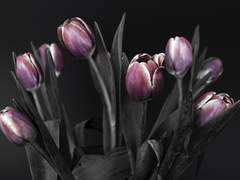 최예은/메리제인/XX/22