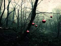 디어 산타 (Dear Santa)