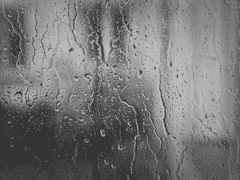 🦅🐰 - 짧은 글 ALL