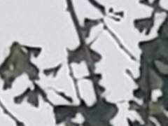 액자 속에 신이 담기덥니까?