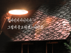 Vivi / once upon a time