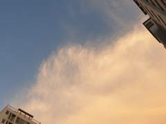 [카게히나] 너의 체취를 맡고싶어 1