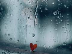 리틀 포레스트 09