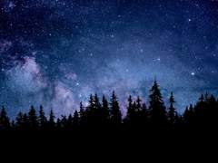 별들의 노랫소리에