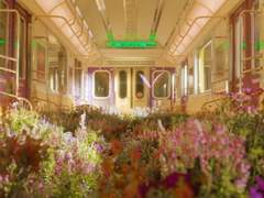 SM은 왜 광야에 집착할까?