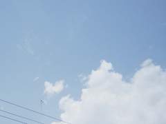 무덤같은 마음으로