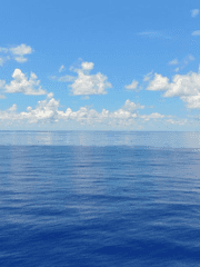 [BL/원피스] 천야차(天夜叉)