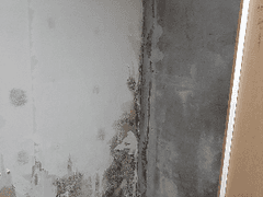 56. 실패했을 때 다시 일어나는 법을 배우지 못했다.