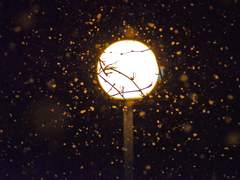 [섭식]좋았던 순간은 늘 잔인하다