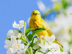 001. 자가격리...는 아닌데...