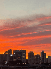 인생 졸라 행복한데