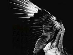 𝑨𝒓𝒊𝒆𝒍𝒍𝒆 𝑩𝒍𝒂𝒄𝒌