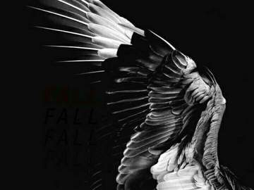 𝑨𝒓𝒊𝒆𝒍𝒍𝒆 𝑩𝒍𝒂𝒄𝒌