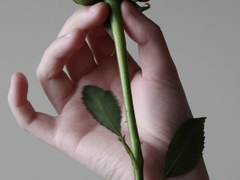 나도 모르는 거짓말을 너에게 하고 있어