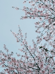 [KV] 사랑의 절반은 노력