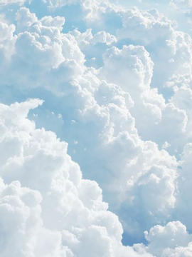 니 여자친구는 남자야