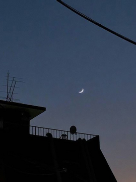 낫 저스트 러브 스토리