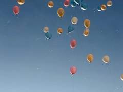 🅟🅡🅞🅕🅘🅛🅔 유자