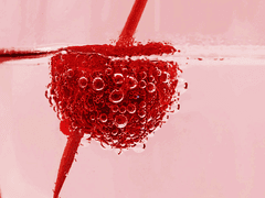 그렇게 아이는 광대가 되고,