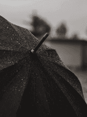 엄브렐러 아카데미