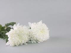 #카도타_히로미 #결말날조