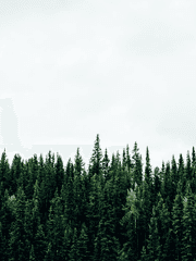 크리스마스가 전혀 기대되지 않는 커미션