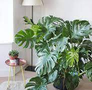 보석커 1.5기 -고등학생- 공개프로필