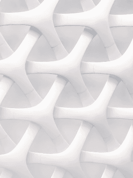 베타 테스터 (Beta Tester)