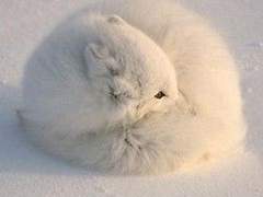 내가 생각하는 입시미술이란