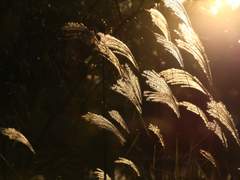 [GC] 지크엘리 - 너를 덮는 가을