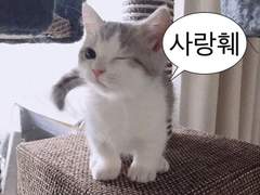 선생님, 딸기 케이크 하나 남았는데 얼른 드시려 오세요.