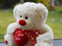 [GC] 제로엘리 - 귀여운 곰인형