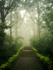 장르연성~저승차자 세진 X 기타누락자 신혁