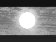 우물 안 고양이