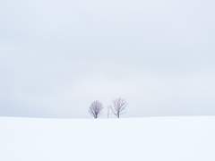 ..응, 지금 그 장소가 딱 좋아