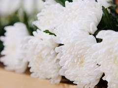 예전 만큼 설레지 않아.