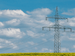 어느 날 전봇대가 나에게 고백을 했다