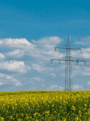 어느 날 전봇대가 나에게 고백을 했다