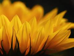 2021년 6월 커미션 작업물