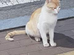 29. 돈이 안 되는 행위.