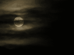 온전히 그리움을 담아,